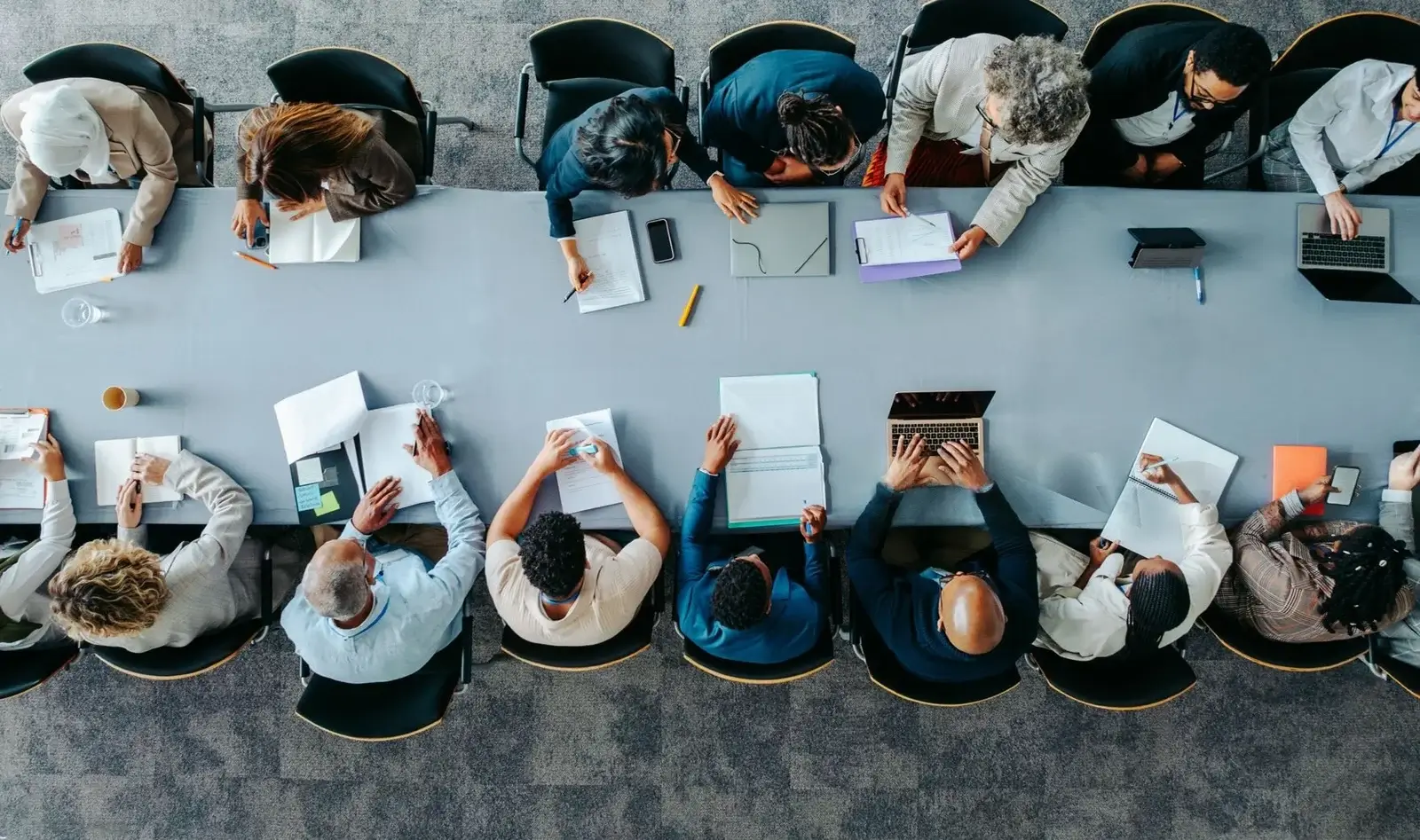 DELF Foundation Team